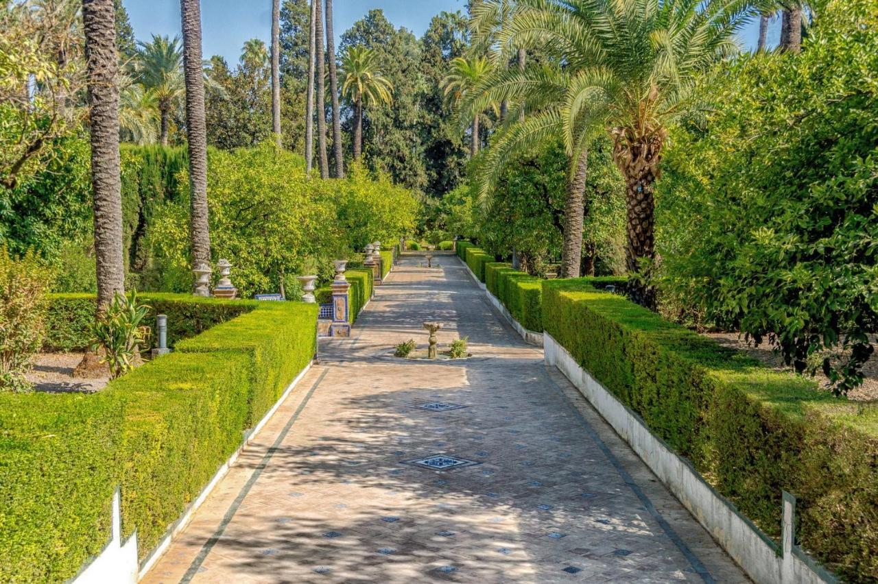 Canarios Sweet Home Σεβίλλη Εξωτερικό φωτογραφία